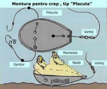 Papa-bun pt pesti - monturacrapplacuta.jpg
